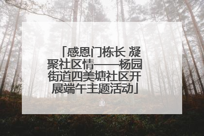 感恩门栋长 凝聚社区情——杨园街道四美塘社区开展端午主题活动