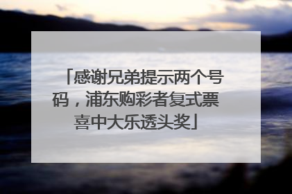 感谢兄弟提示两个号码，浦东购彩者复式票喜中大乐透头奖