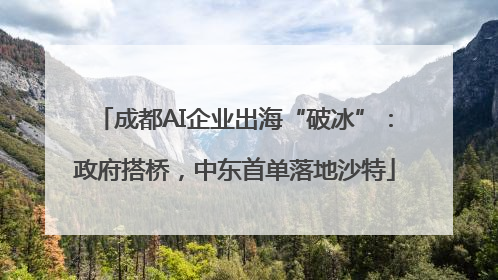 成都AI企业出海“破冰”：政府搭桥，中东首单落地沙特