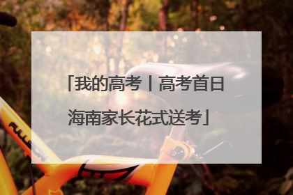 我的高考丨高考首日 海南家长花式送考