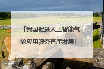 我国促进人工智能气象应用服务有序发展