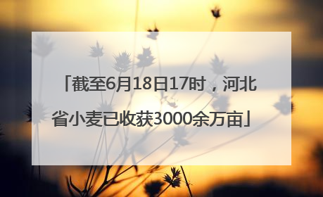 截至6月18日17时，河北省小麦已收获3000余万亩