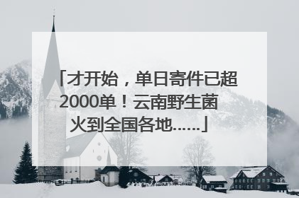 才开始，单日寄件已超2000单！云南野生菌火到全国各地……
