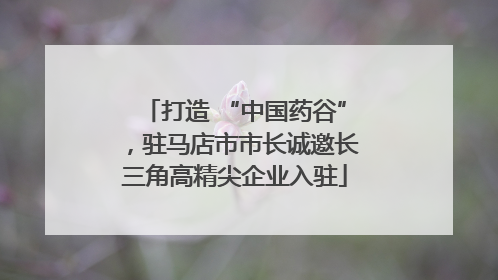 打造 “中国药谷”，驻马店市市长诚邀长三角高精尖企业入驻