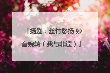扬剧：丝竹悠扬 妙音婉转（我与非遗）