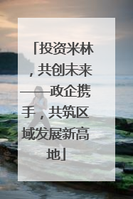 投资米林，共创未来——政企携手，共筑区域发展新高地