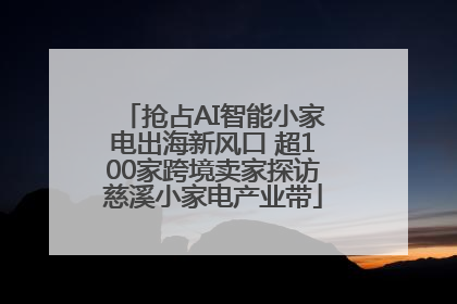 抢占AI智能小家电出海新风口 超100家跨境卖家探访慈溪小家电产业带