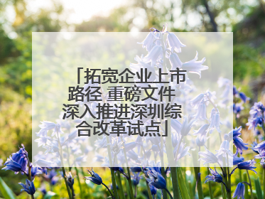 拓宽企业上市路径 重磅文件深入推进深圳综合改革试点