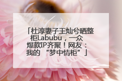 杜淳妻子王灿兮晒整柜Labubu，一众爆款IP齐聚！网友：我的 “梦中情柜”