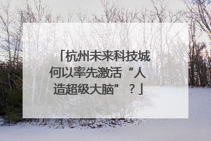 杭州未来科技城何以率先激活“人造超级大脑”？
