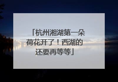杭州湘湖第一朵荷花开了！西湖的还要再等等