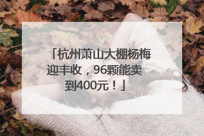 杭州萧山大棚杨梅迎丰收，96颗能卖到400元！
