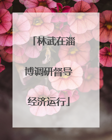 林武在淄博调研督导经济运行