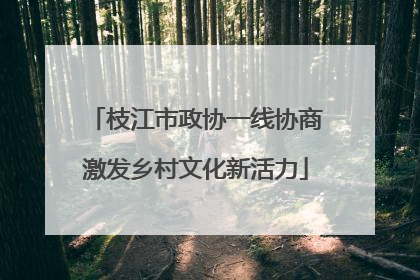 枝江市政协一线协商激发乡村文化新活力
