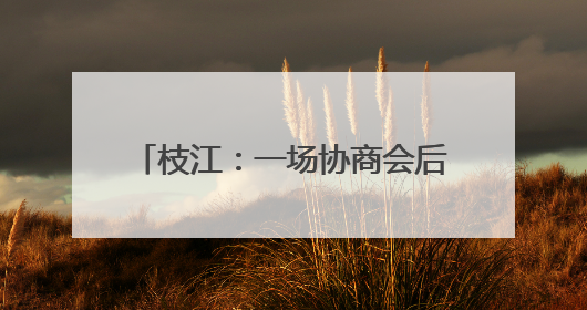 枝江：一场协商会后，164名困境儿童有了“委员妈妈”