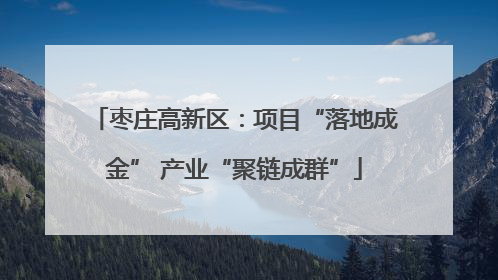 枣庄高新区：项目“落地成金” 产业“聚链成群”