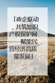 政企联动，共筑知识产权保护网——赋能民营经济高质量发展