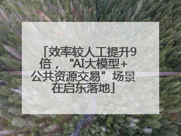 效率较人工提升9倍，“AI大模型+公共资源交易”场景在启东落地