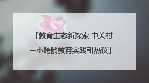 教育生态新探索 中关村三小跨龄教育实践引热议