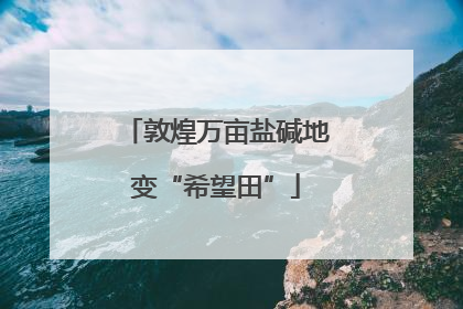 敦煌万亩盐碱地变“希望田”