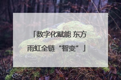 数字化赋能 东方雨虹全链“智变”