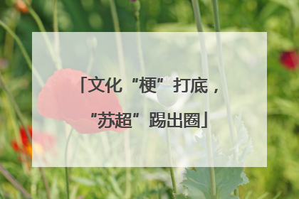文化“梗”打底，“苏超”踢出圈