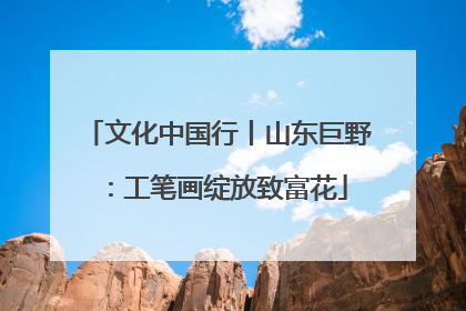 文化中国行丨山东巨野：工笔画绽放致富花