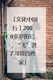 文化中国行丨2000多岁的它，“飞”进了寻常百姓家