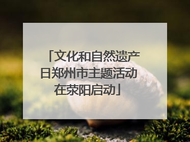 文化和自然遗产日郑州市主题活动在荥阳启动