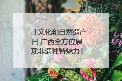文化和自然遗产日 广西全方位展现非遗独特魅力