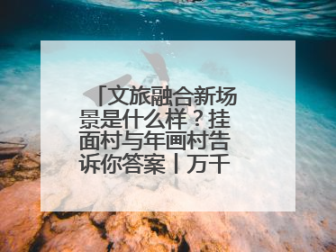 文旅融合新场景是什么样？挂面村与年画村告诉你答案丨万千气象看四川