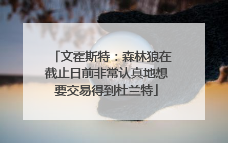 文霍斯特：森林狼在截止日前非常认真地想要交易得到杜兰特