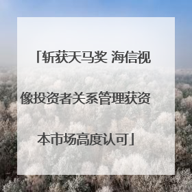 斩获天马奖 海信视像投资者关系管理获资本市场高度认可