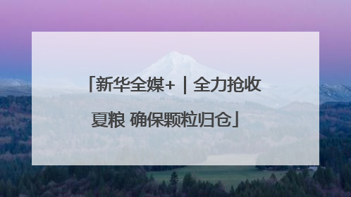 新华全媒+｜全力抢收夏粮 确保颗粒归仓
