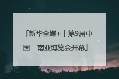 新华全媒+丨第9届中国—南亚博览会开幕
