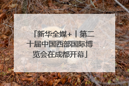 新华全媒+丨第二十届中国西部国际博览会在成都开幕