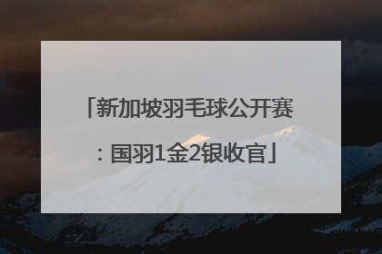 新加坡羽毛球公开赛：国羽1金2银收官