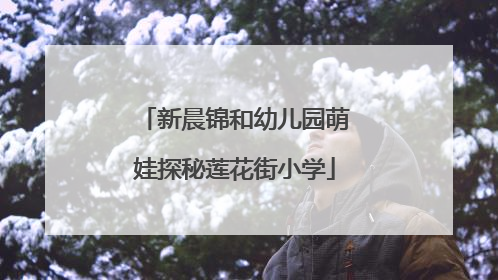 新晨锦和幼儿园萌娃探秘莲花街小学
