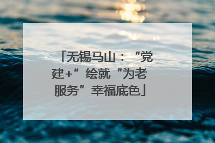 无锡马山：“党建+”绘就“为老服务”幸福底色