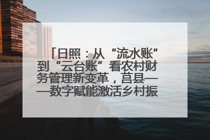 日照：从“流水账”到“云台账”看农村财务管理新变革，莒县——数字赋能激活乡村振兴“一池春水”