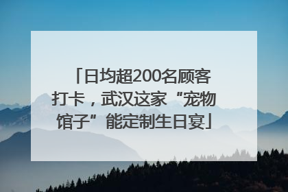 日均超200名顾客打卡，武汉这家“宠物馆子”能定制生日宴