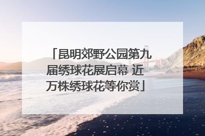 昆明郊野公园第九届绣球花展启幕 近万株绣球花等你赏