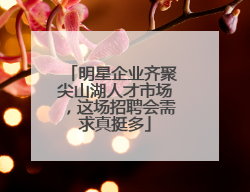 明星企业齐聚尖山湖人才市场，这场招聘会需求真挺多