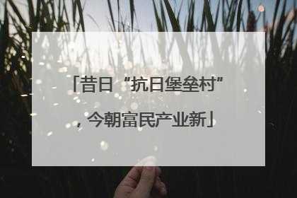 昔日“抗日堡垒村”，今朝富民产业新