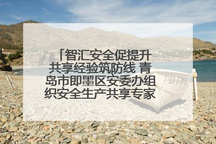 智汇安全促提升 共享经验筑防线 青岛市即墨区安委办组织安全生产共享专家现场观摩学习活动