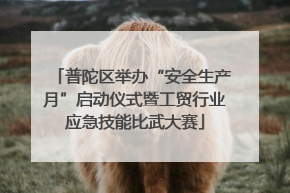 普陀区举办“安全生产月”启动仪式暨工贸行业应急技能比武大赛