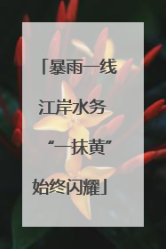 暴雨一线 江岸水务“一抹黄”始终闪耀