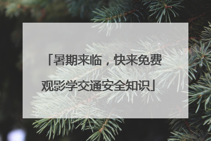 暑期来临，快来免费观影学交通安全知识