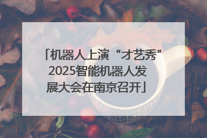 机器人上演“才艺秀” 2025智能机器人发展大会在南京召开
