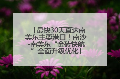 最快30天直达南美东主要港口！南沙-南美东“金砖快航”全面升级优化